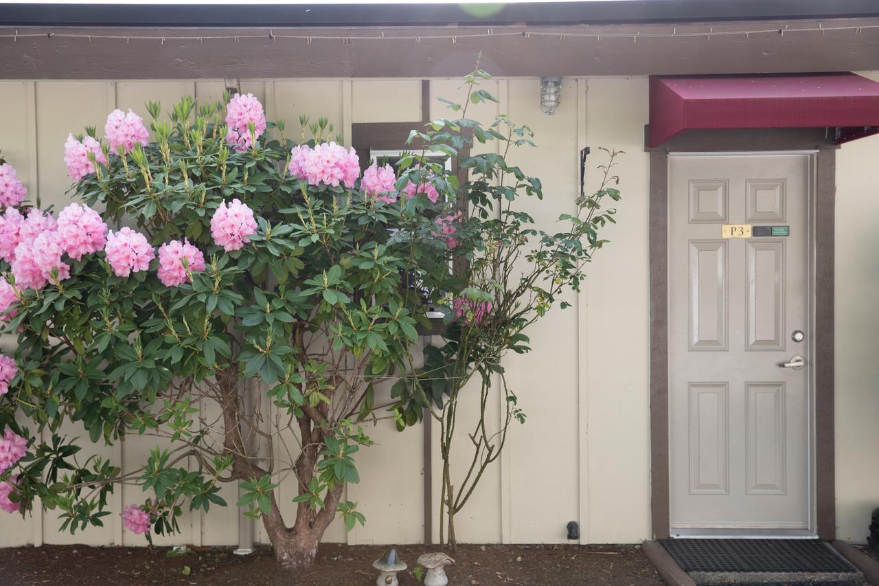 Cherry Tree Inn Saanich Exterior photo