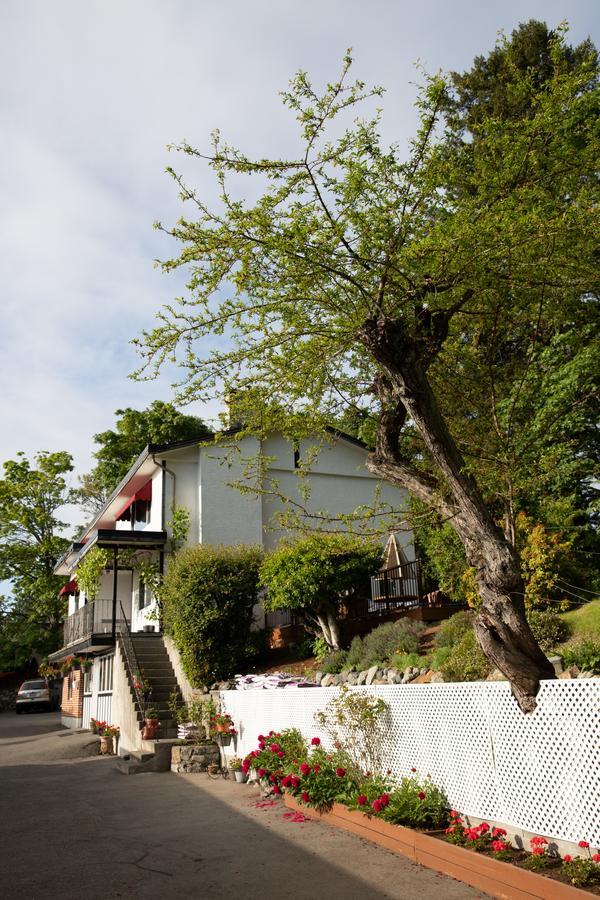 Cherry Tree Inn Saanich Exterior photo